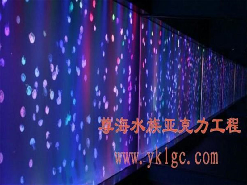 走廊亚克力鱼缸定做