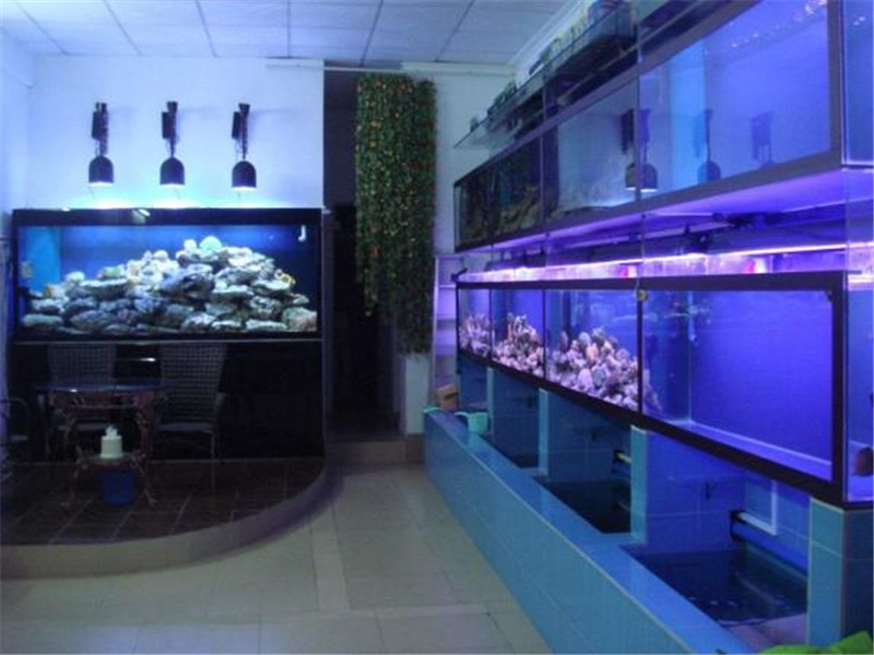 酒店海鲜池定做-杭州海鲜池定做厂家